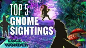 [Top 5] Gnomes and Goblins Caught On Camera! In real life