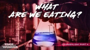 The Roots of Evil [Part 4] The Modern Food Industry