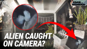 Aliens Spotted on Ring Camera: Real or  Fake? Plus All New NDEs